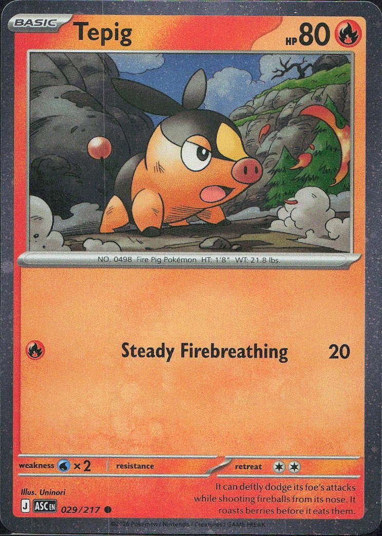 Tepig image 1