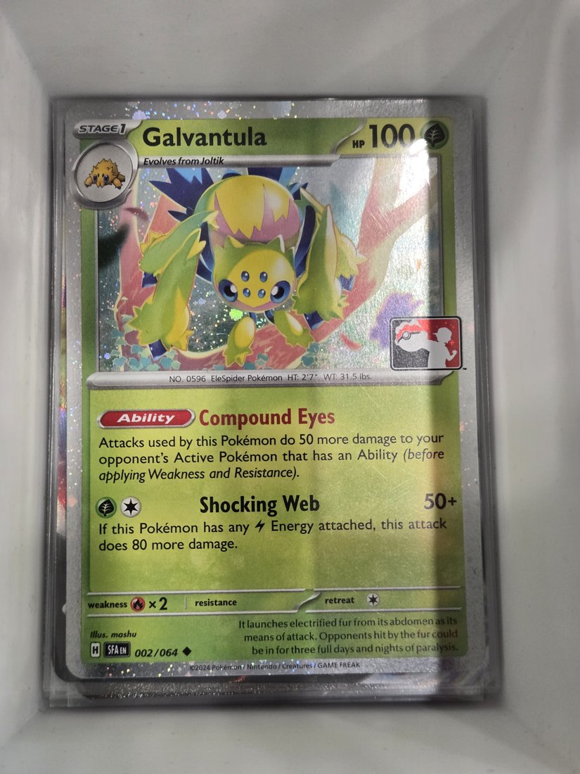 Galvantula image 1